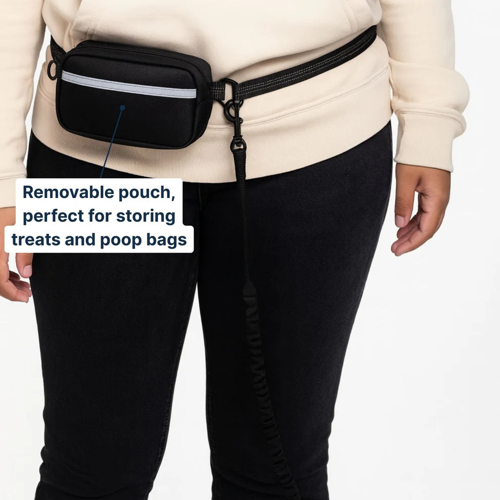 Multifunctional running waist bag-pet leash