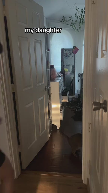 Women's Halloween Themed Skull Print Contrast Lace Bodycon Cami Dress, Street Fashion Casual Sleeveless Mini Dress for Party Club Wear, Ladies Clothes for Fall